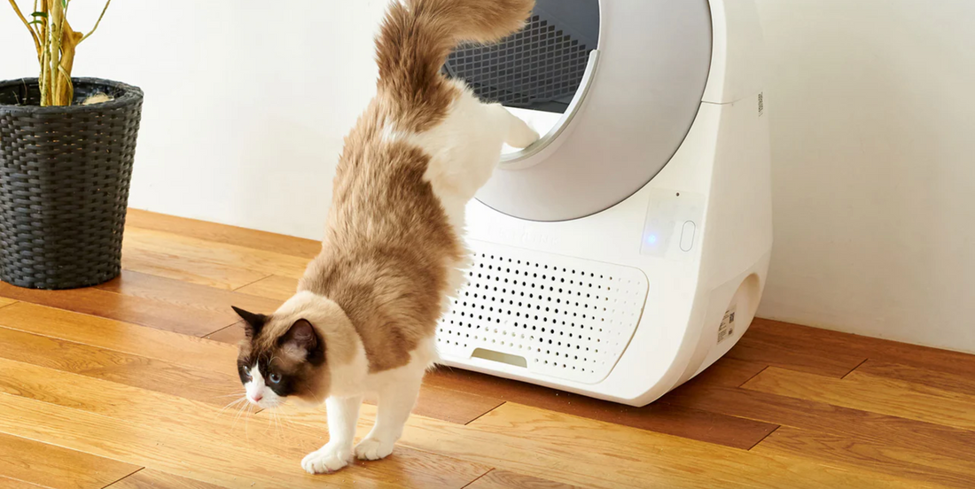 Debunking Myths About Self-Cleaning Litter Boxes: Separating Fact From Fiction