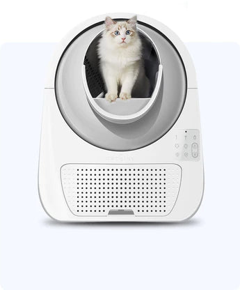 Litter Box