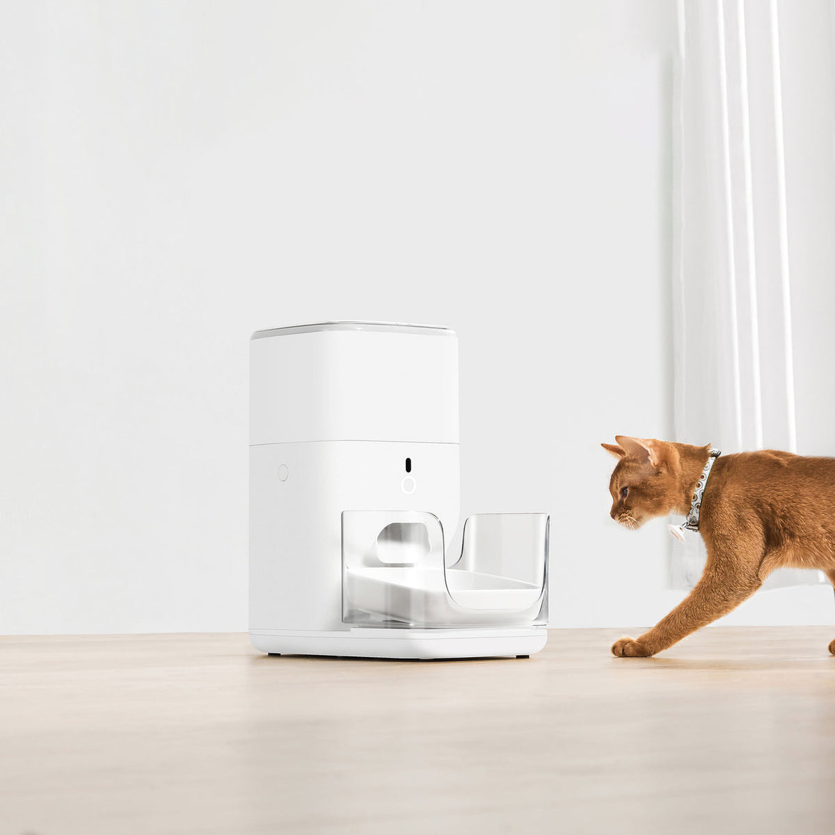 CATLINK Automatic Feeder Fresh 2 - Standard (Single Cat)