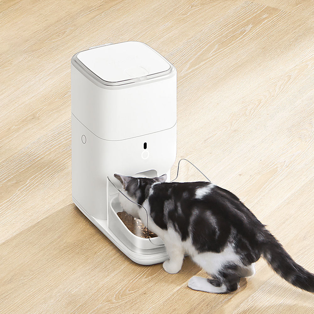 CATLINK Automatic Feeder Fresh 2 - Standard (Single Cat)