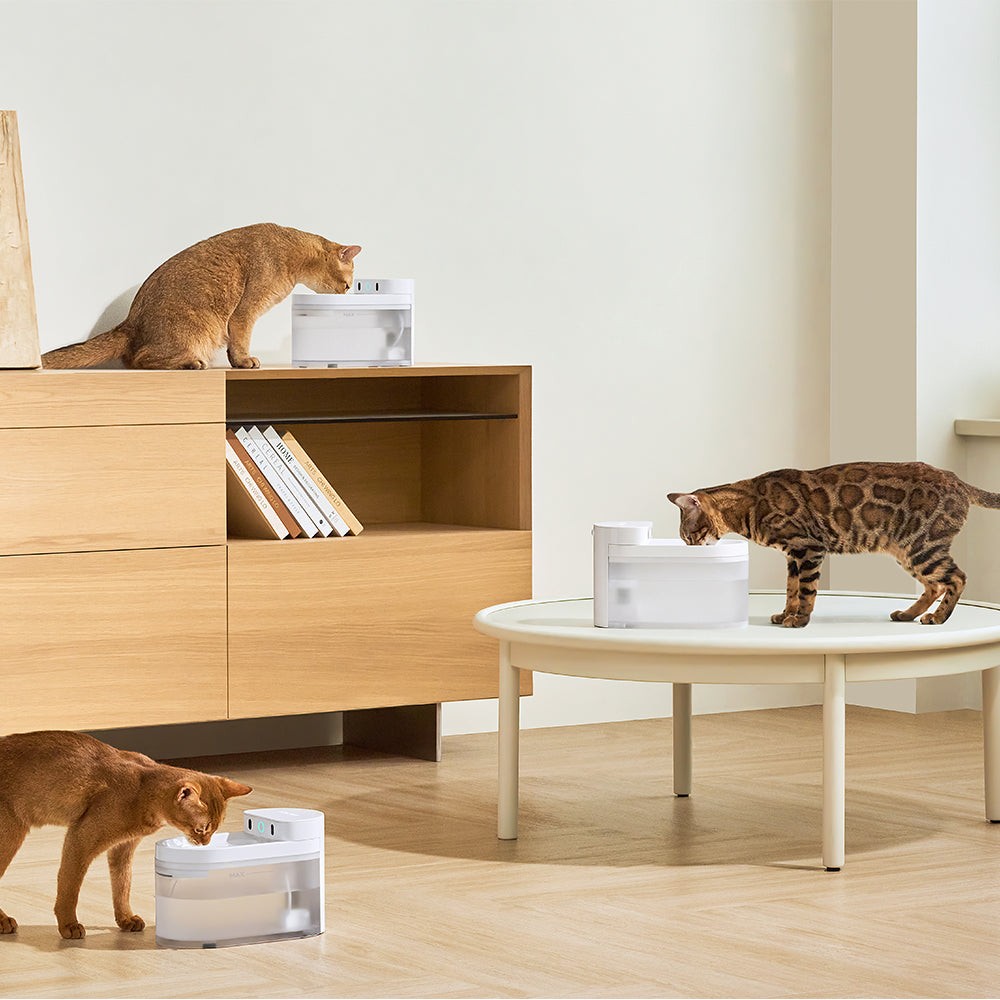 CATLINK Pure 3 AI Water Fountain – Wireless