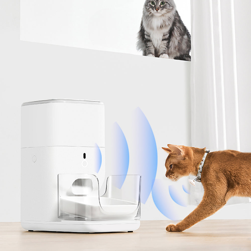 CATLINK Automatic Feeder Fresh 2 - Standard (Single Cat)